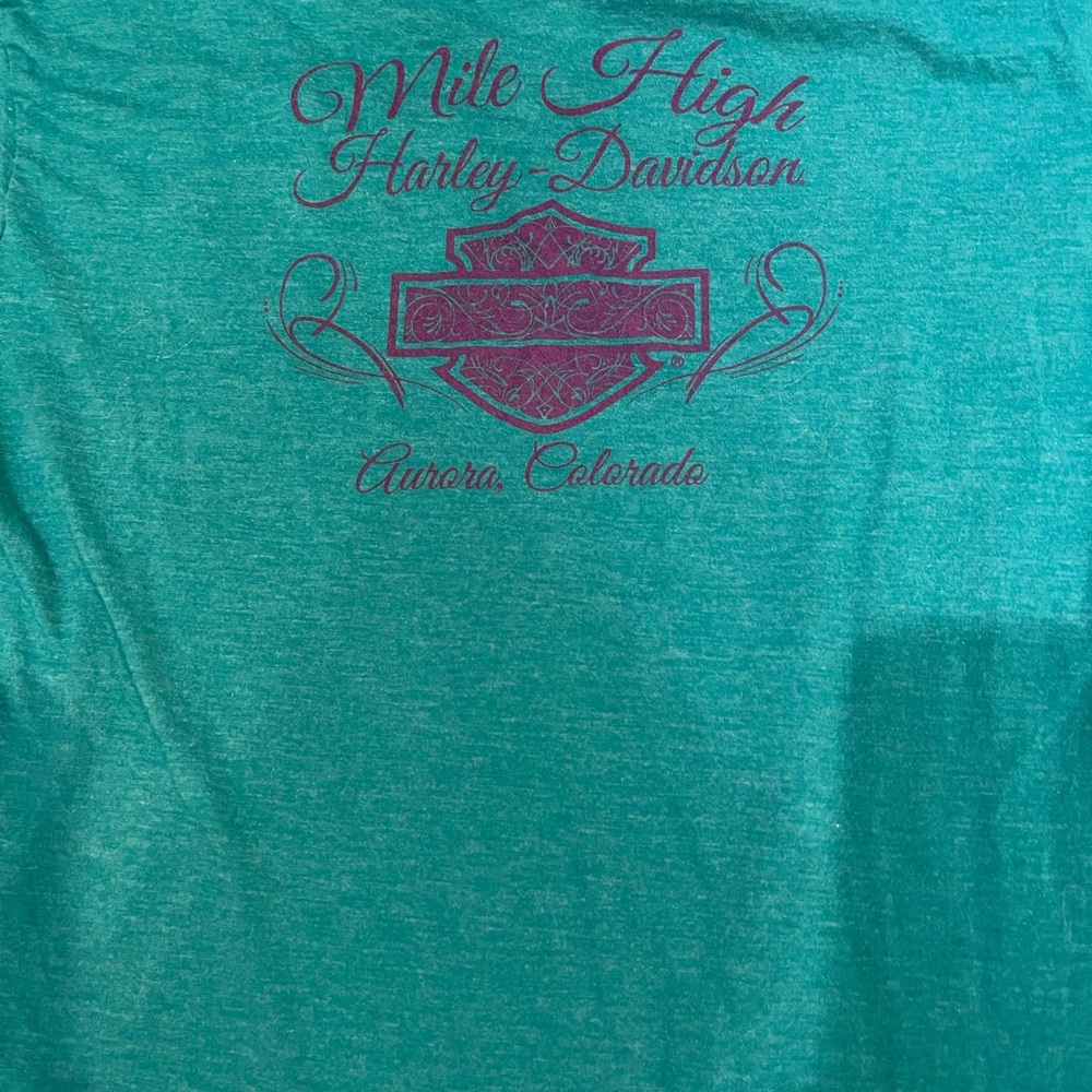 Harley Bundle - image 2